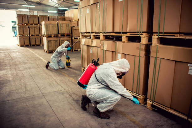 Best Mosquito Control Services  in Pinconning, MI