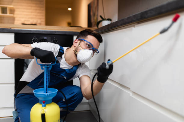 Best Pest Removal Services  in Pinconning, MI