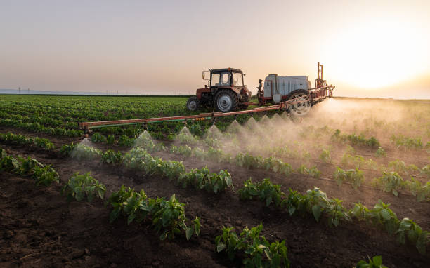 Best Pest Control for Businesses  in Pinconning, MI