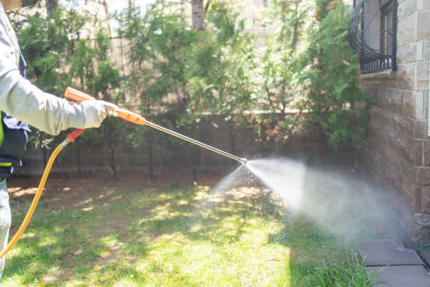 Best Spider Control Near Me  in Pinconning, MI