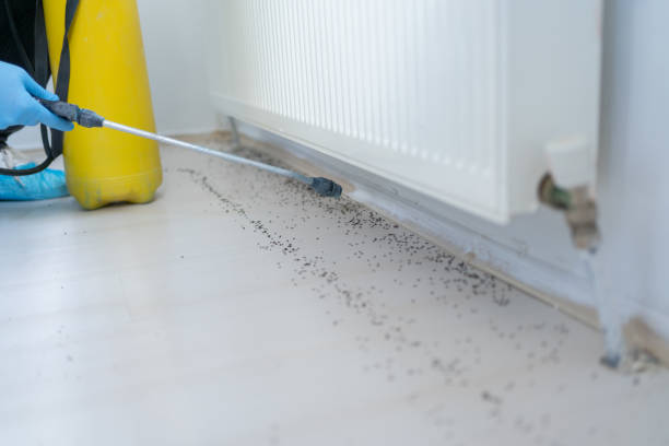 Best Insect Control  in Pinconning, MI