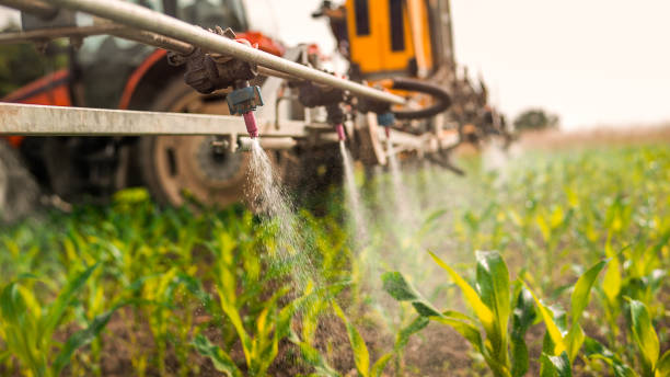 Best Ant Control Services  in Pinconning, MI